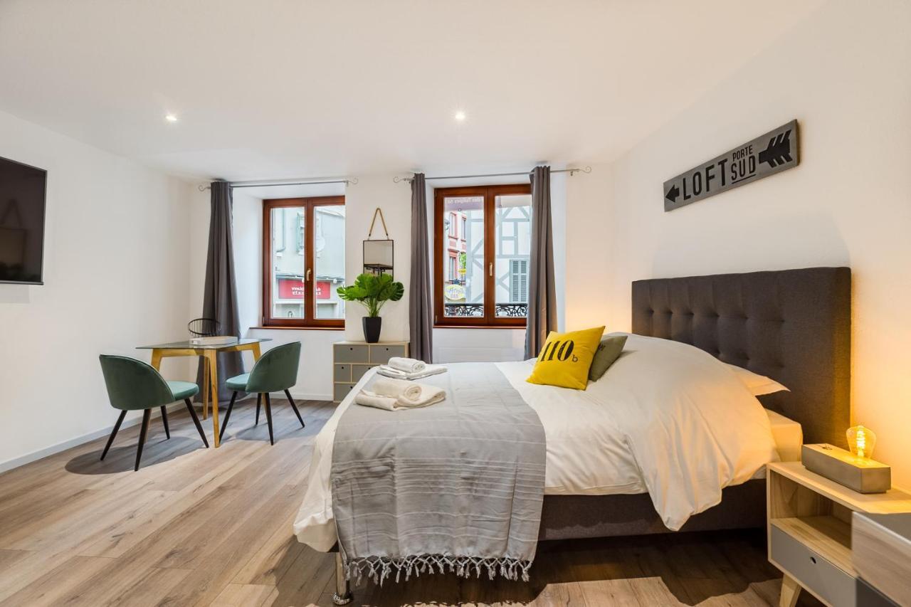 Travel Homes - L'Arsenal, Studios En Hyper Centre Mulhouse Eksteriør bilde