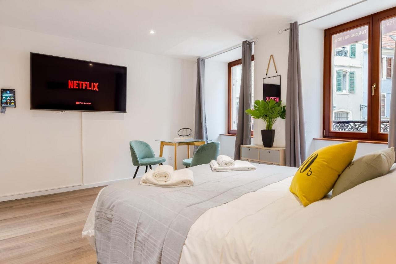 Travel Homes - L'Arsenal, Studios En Hyper Centre Mulhouse Eksteriør bilde